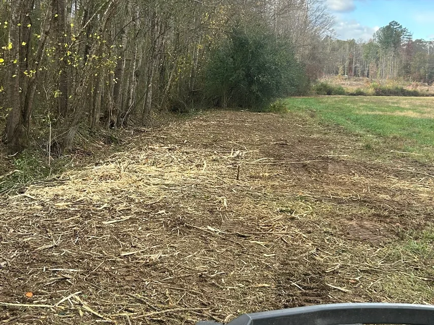 Brush cut back from the edge of farm land, bush hogging
