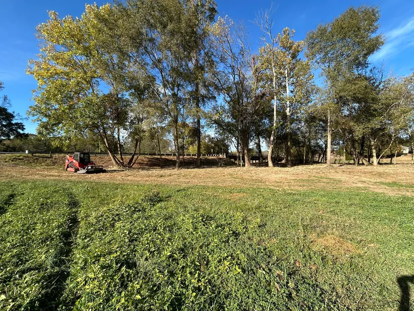 Field cut short up to a line of trees with the red track loader at the left, bush hogging