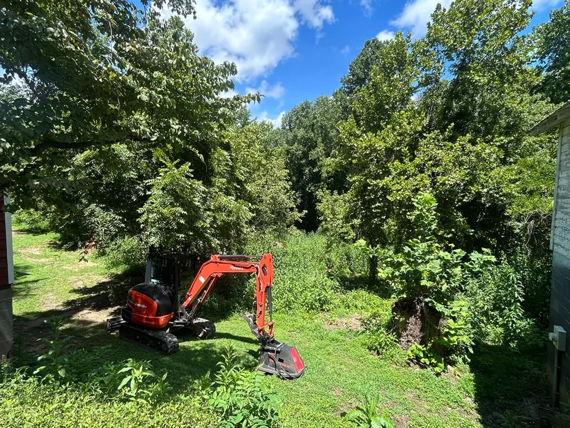 Red mini excavator with a mulching head clearing an overgrown yard, excavation