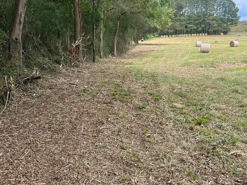 Mulched strip along a wood line beside a hay field with round bales, fence line clearing
