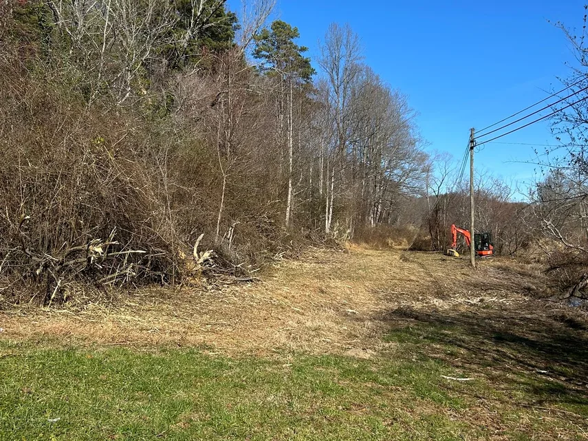 Cleared line along the edge of the woods with the mini excavator at the far end, fence line clearing