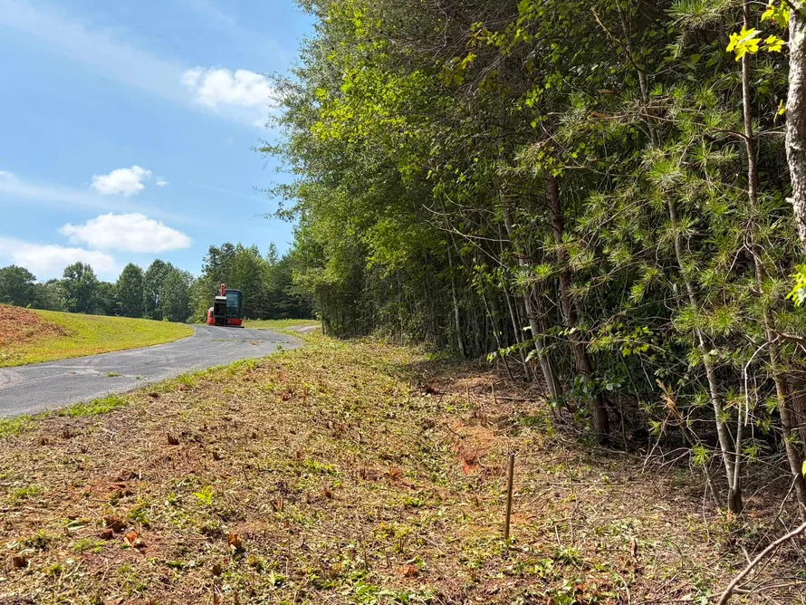Roadside strip mulched back from the woods, fence line clearing