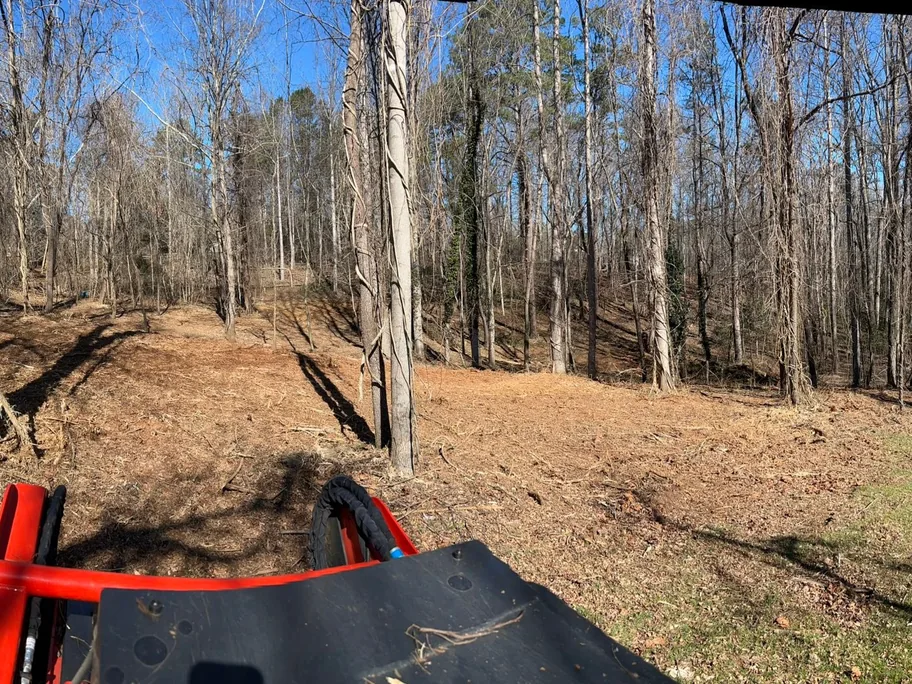 Mulched path opened through the woods, food plots and trails