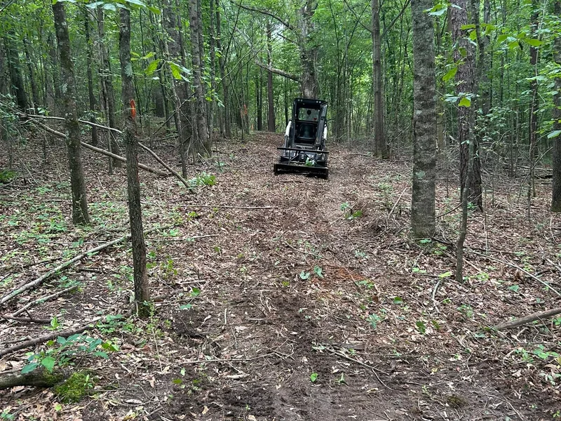 Trail cut through the woods with the track loader at the far end, food plots and trails