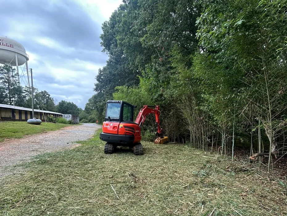 Mini excavator with a mulching head beside a mulched strip along tall bamboo, forestry mulching
