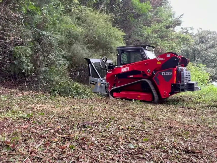 Track loader mulching brush back along a wood line, forestry mulching