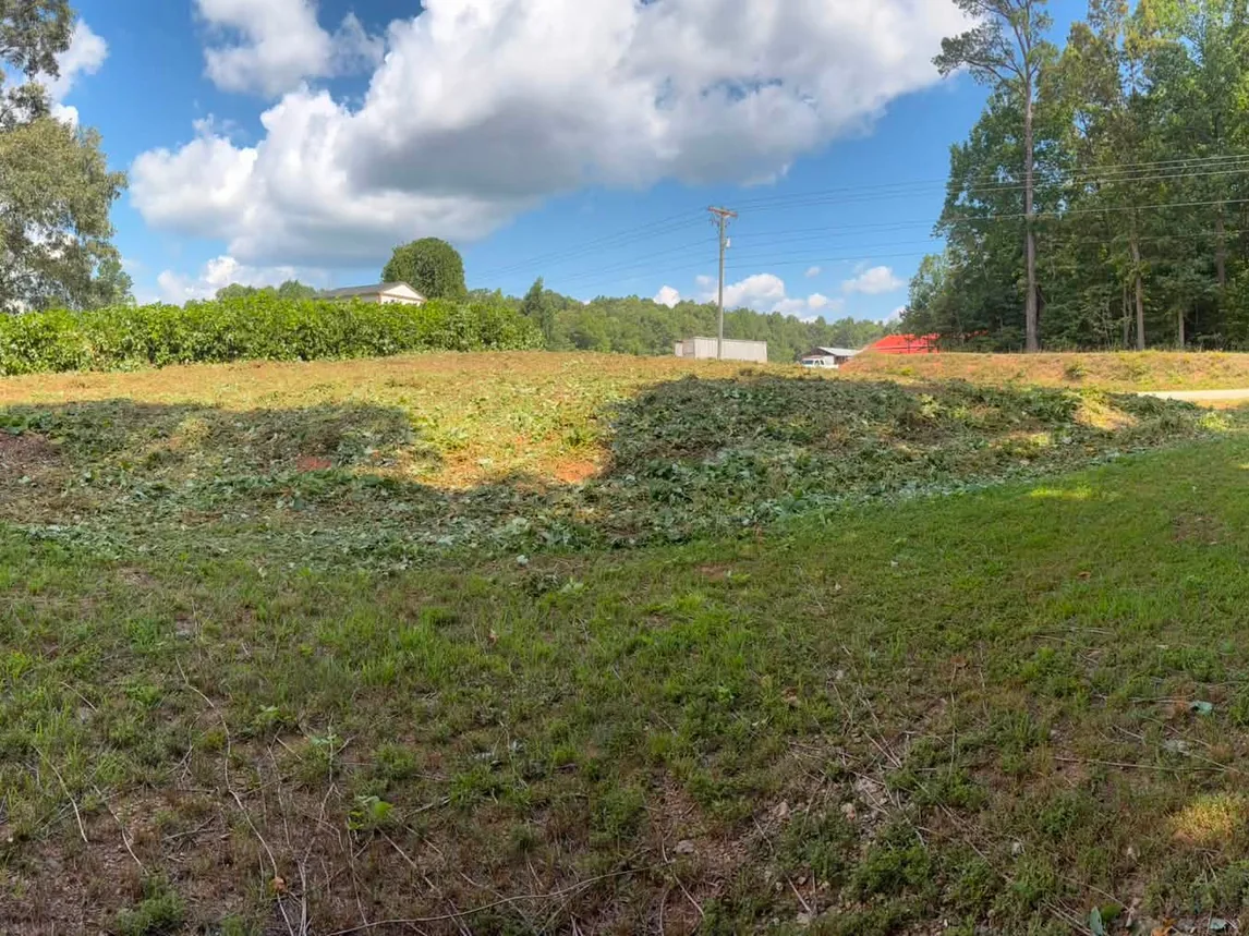 Field with the kudzu cut and mulched to the ground, kudzu removal