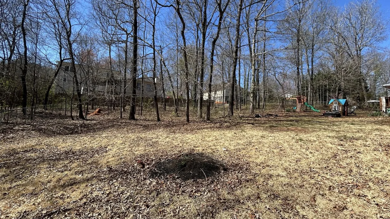 Land clearing in Clarkesville, GA