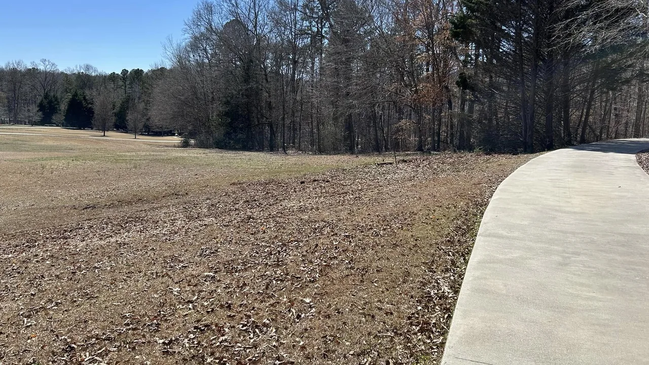 Land clearing in Commerce, GA