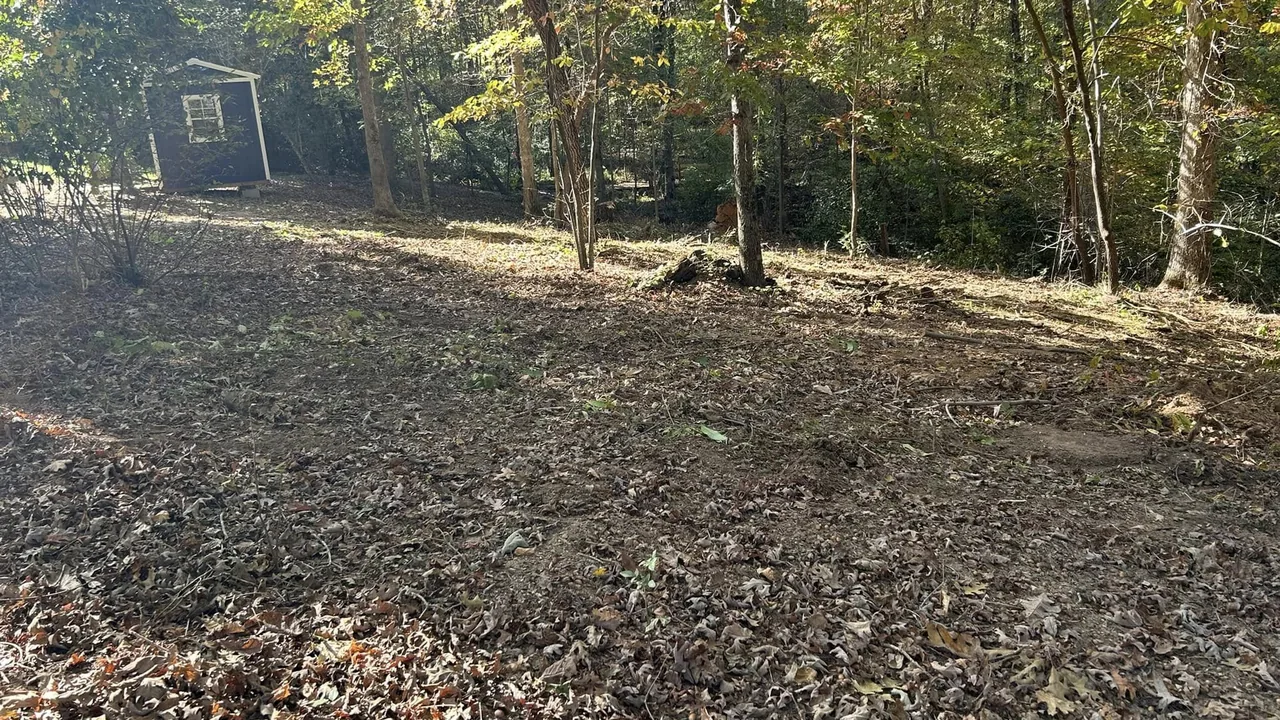 Land clearing in Cornelia, GA