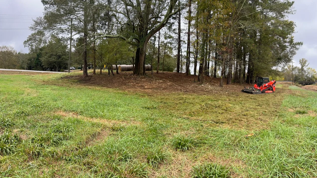 Land clearing in Dahlonega, GA