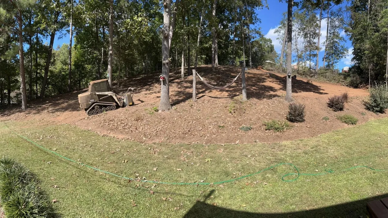 Land clearing in Gainesville, GA