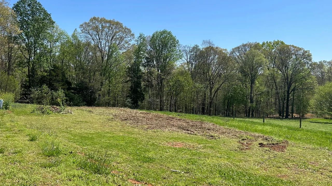 Land clearing in Hartwell, GA