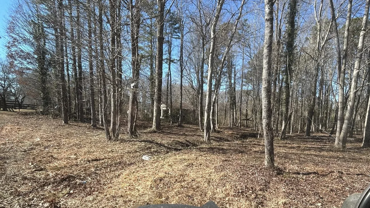 Land clearing in Lavonia, GA