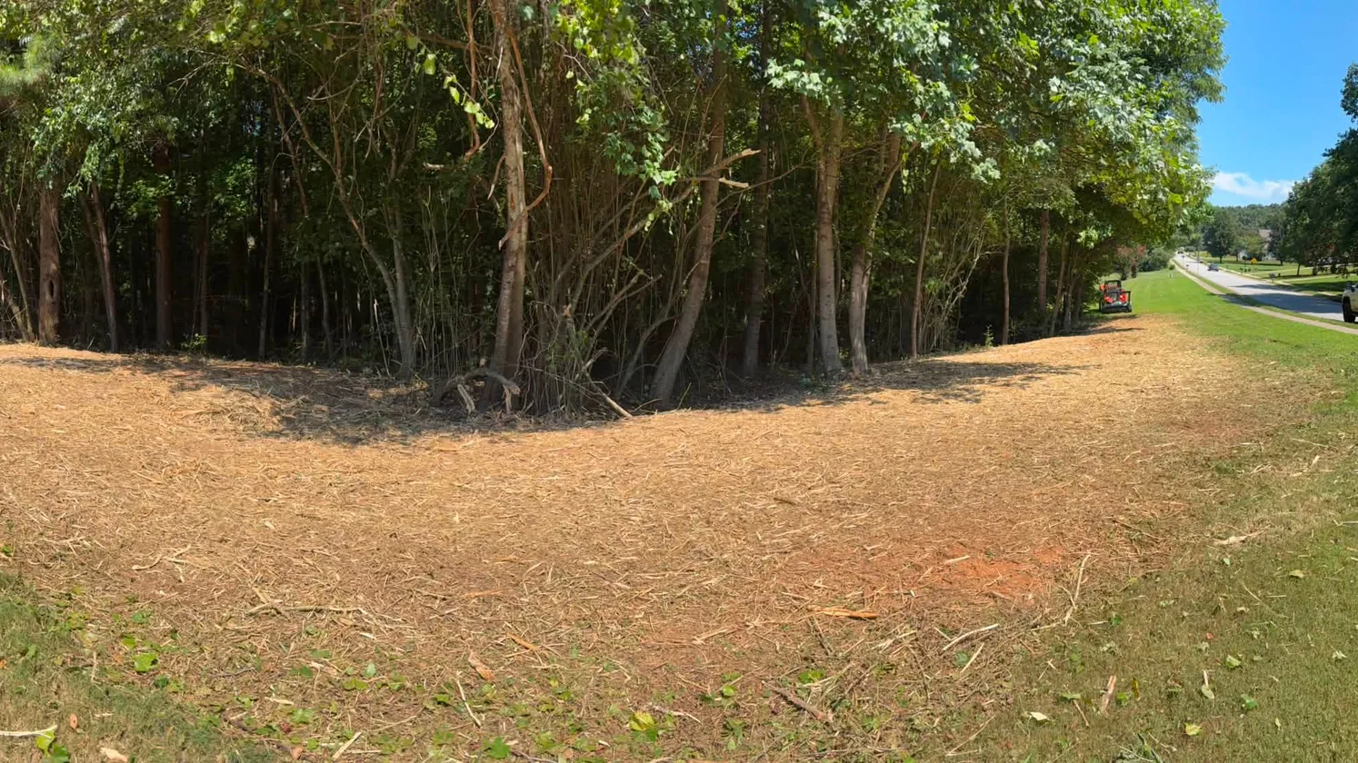 Mulched ground along a wood line pushed back from a yard, land clearing services