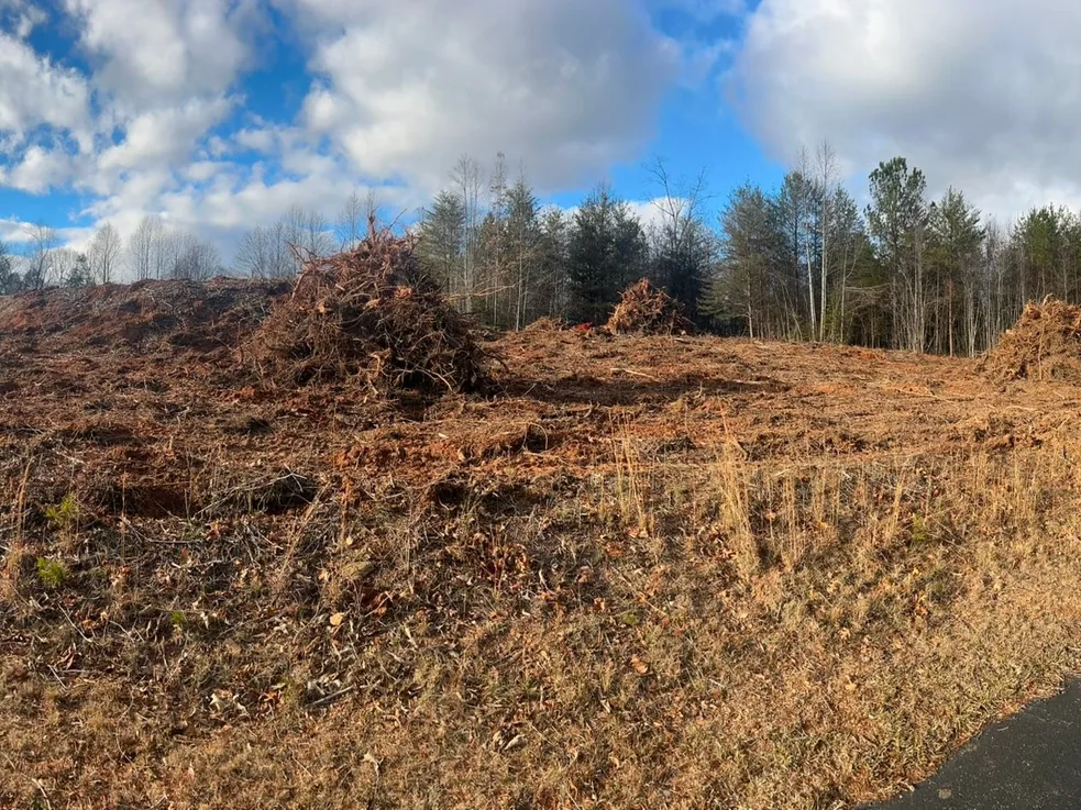 Cleared lot with piled roots beside a paved drive, site preparation