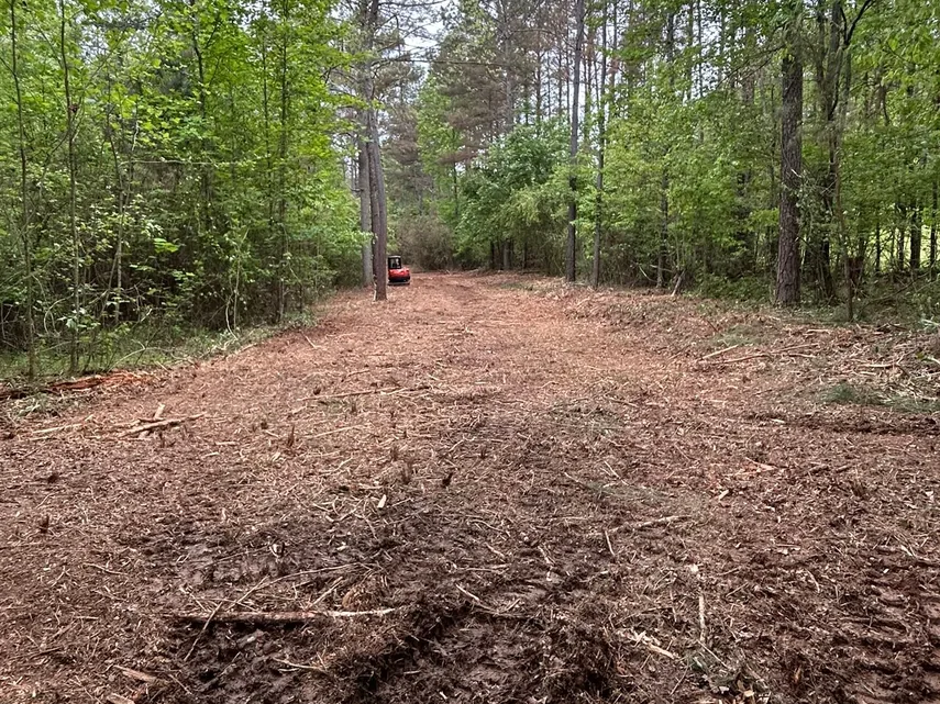 Old woods road opened through brush for a new house site with mature trees kept, site preparation