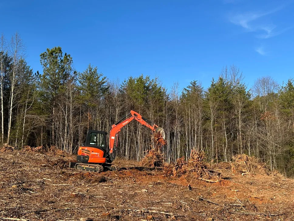 Red mini excavator pulling roots on a cleared lot, site preparation