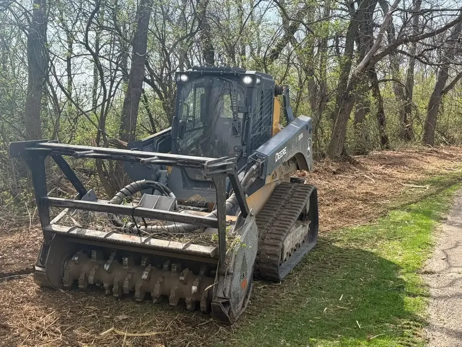 Track loader with a mulching head on a wooded lot with the brush mulched under kept trees, site preparation