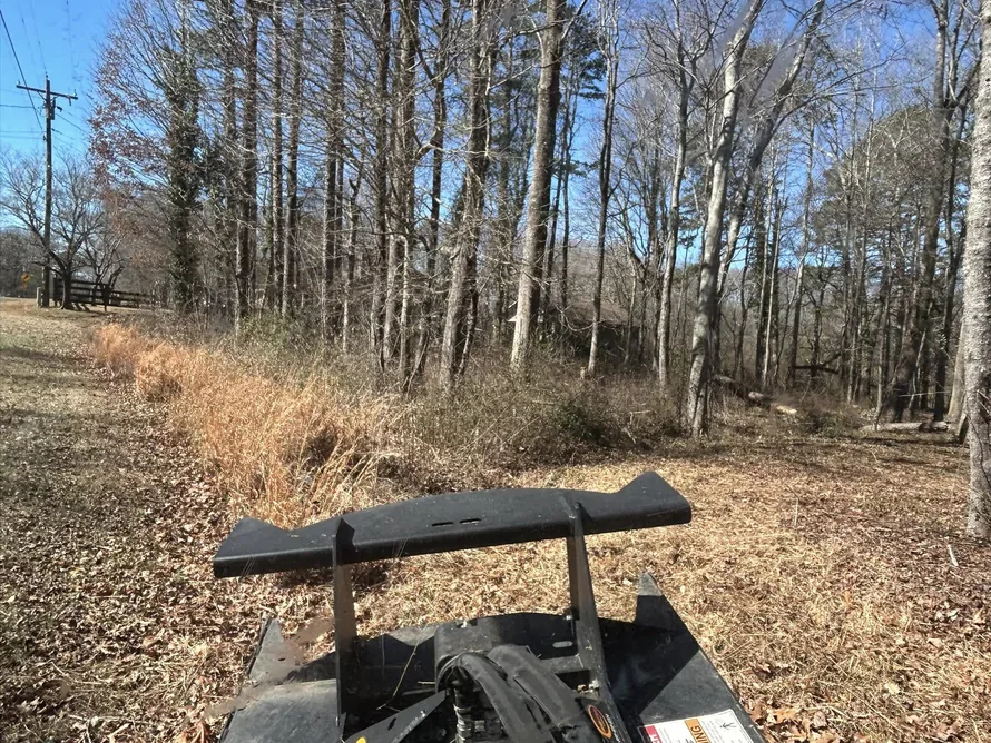 Mulching head at the edge of woods along a roadside, underbrushing