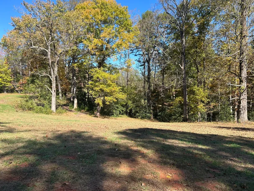 Open woods with the undergrowth cleared under mature trees beside a lawn, underbrushing